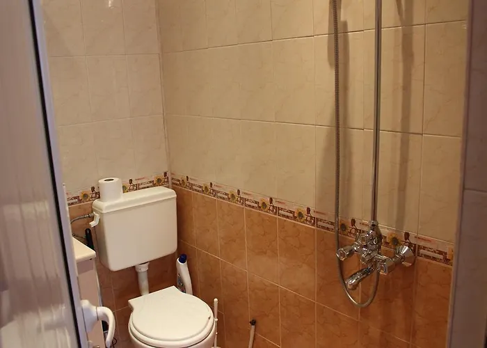 Orchideia ساندانسكي